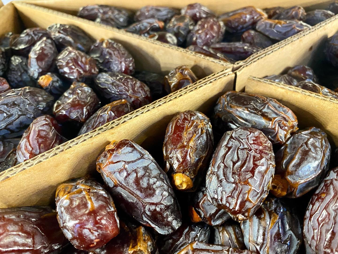 Fresh Medjool Dates