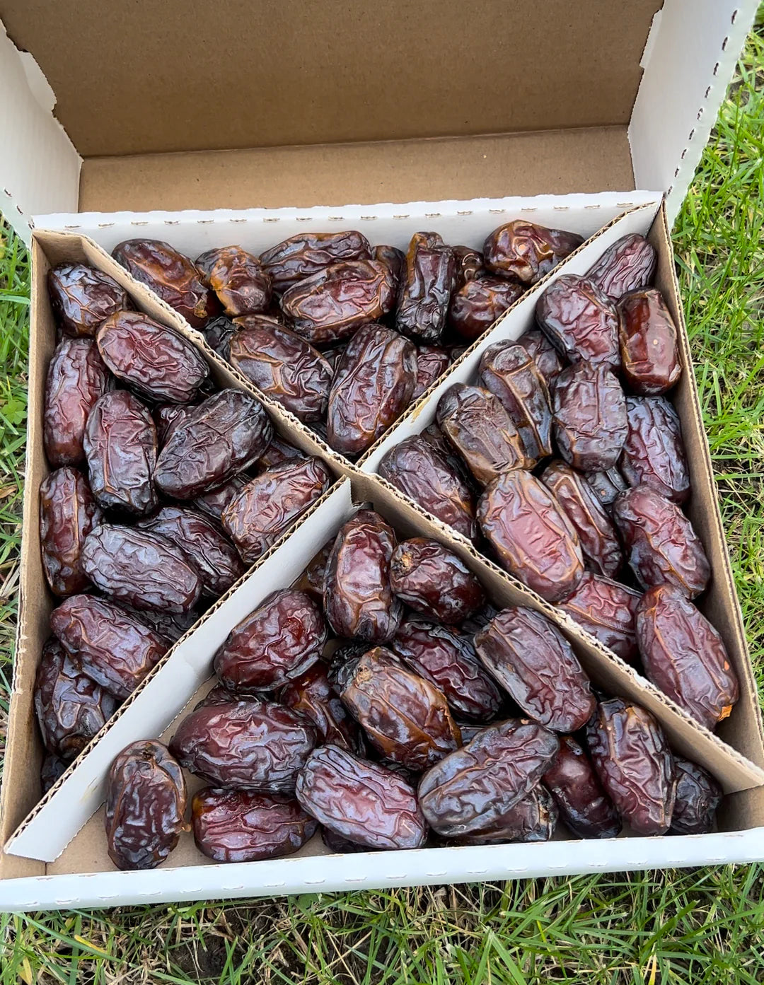 Fresh Medjool Dates