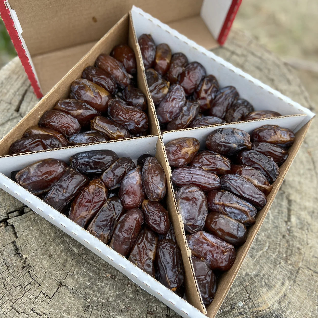 Fresh Medjool Dates